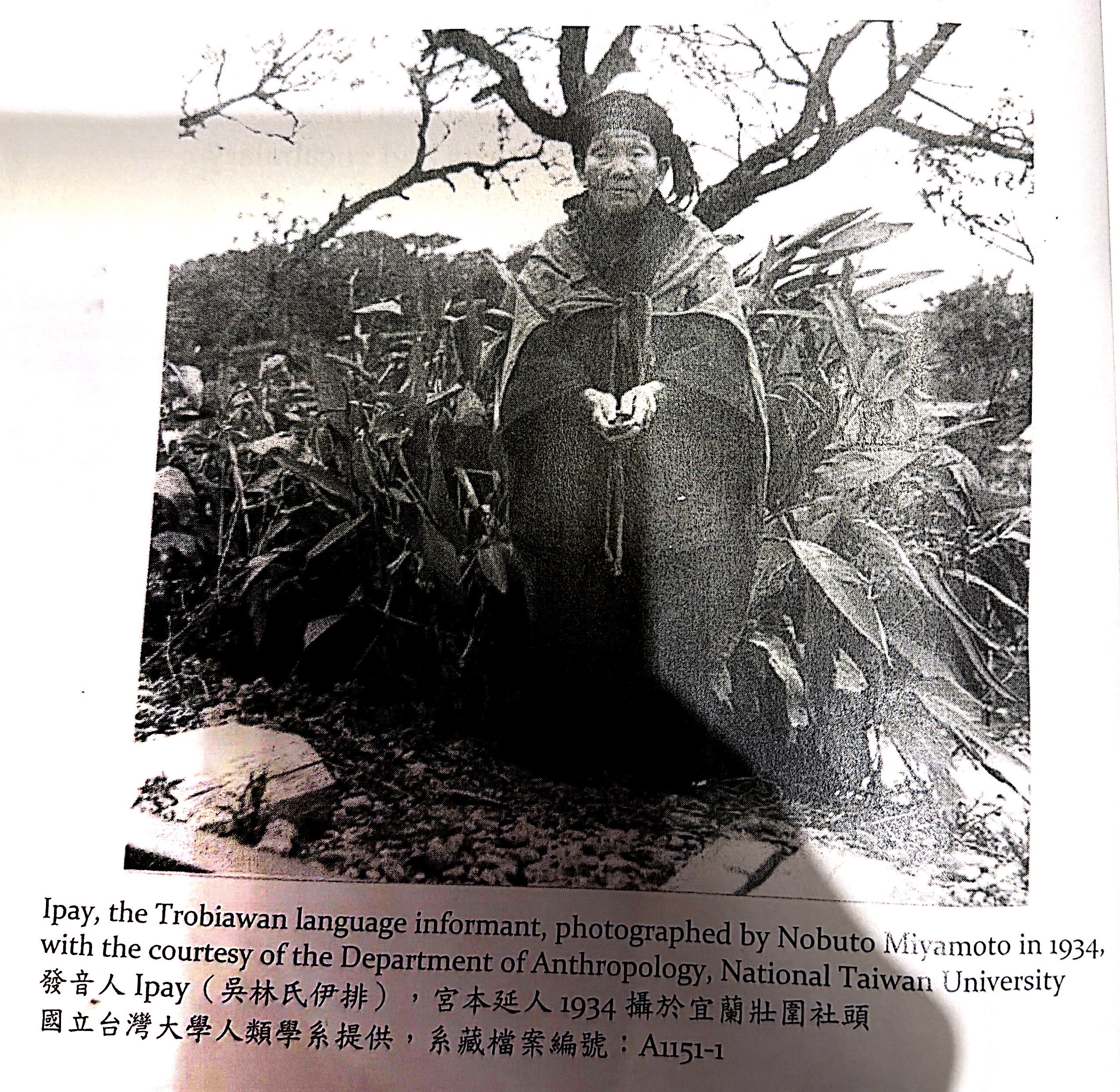 Ipay 氏的原始照片 (1934 年)，附有文獻說明文字。